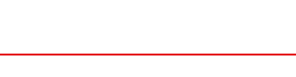 logo light
