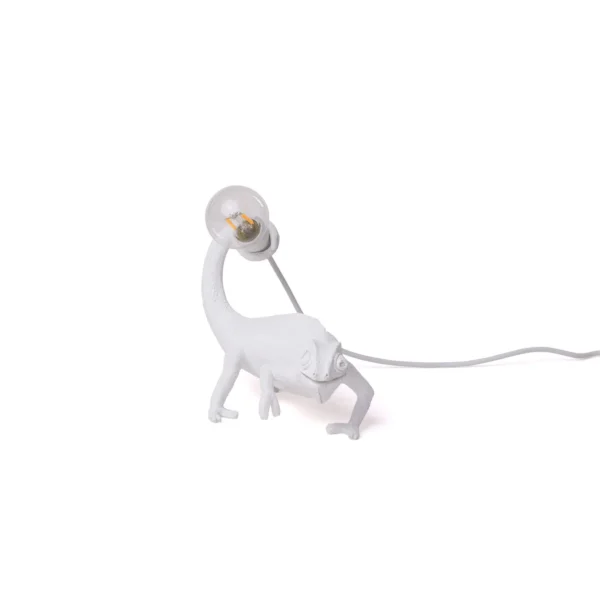 Chameleon Lamp Going Down